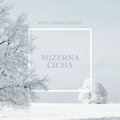 Mizerna cicha Vinyl String Quartet