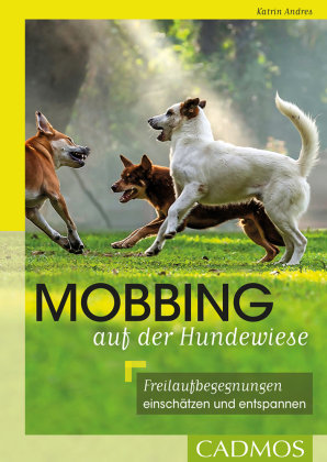 Mobbing auf der Hundewiese Cadmos