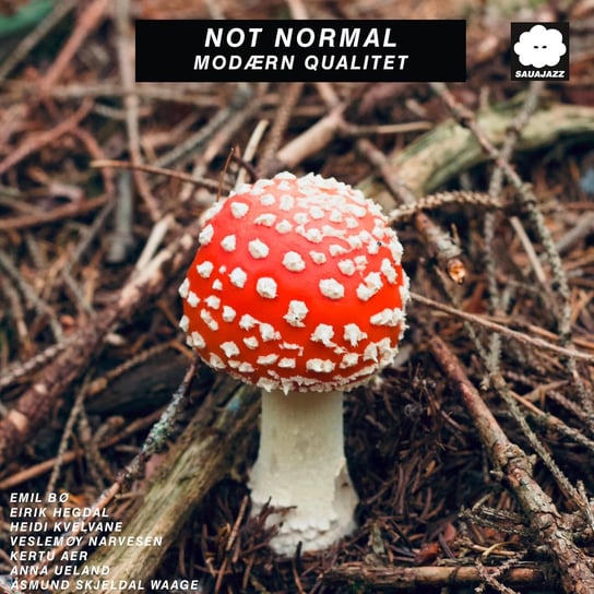 Modaern Qualitet Not Normal