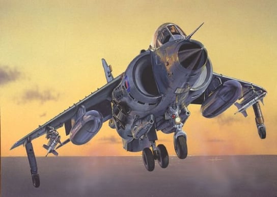 Model do sklejania FRS.1 Sea Harrier Italeri