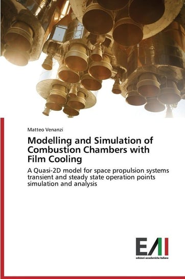 Modelling and Simulation of Combustion Chambers with Film Cooling Venanzi Matteo