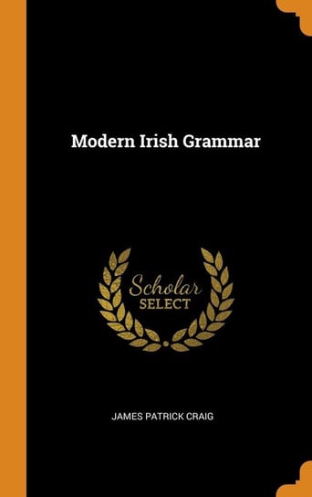 Modern Irish Grammar Craig James Patrick