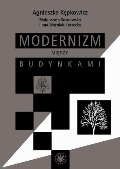 Modernizm między budynkami - ebook PDF Woźniak-Kostecka Ilona, Sosnowska Małgorzata, Kępkowicz Agnieszka