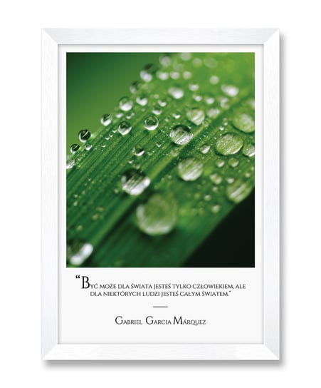 Modna grafika w ramie obraz z liśćmi liście do łazienki piękny cytat Gabriel García Márquez Marquez biała rama 23,5x32 cm iWALL studio