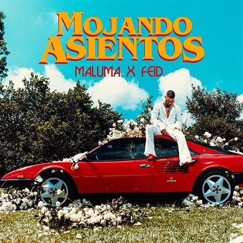 Mojando Asientos Maluma feat. Feid