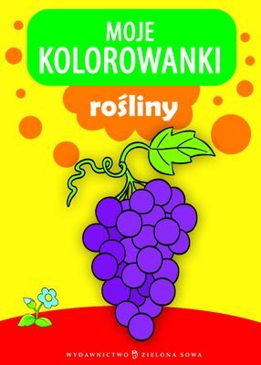 Moje kolorowanki: rośliny Opracowanie zbiorowe