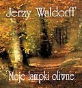 Moje lampki oliwne Waldorff Jerzy