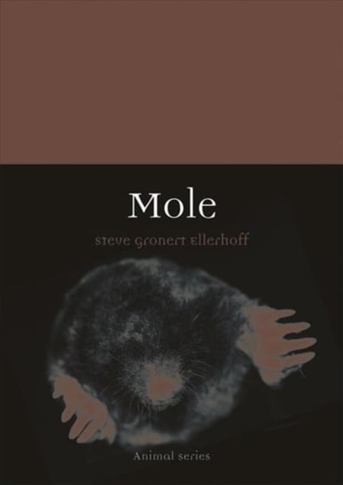 Mole Steve Gronert Ellerhoff