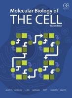 Molecular Biology of the Cell Alberts Bruce, Johnson Alexander, Lewis Julian, Morgan David, Raff Martin, Roberts Keith, Walter Peter