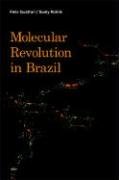 Molecular Revolution in Brazil Guattari Felix