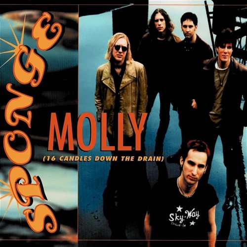 Molly (16 Candles Down the Drain) Sponge