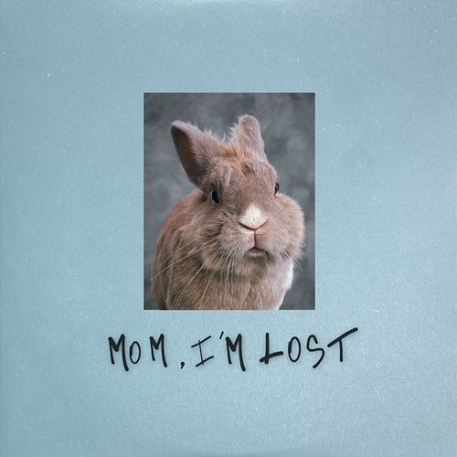 Mom, I’m Lost Pam Rabbit