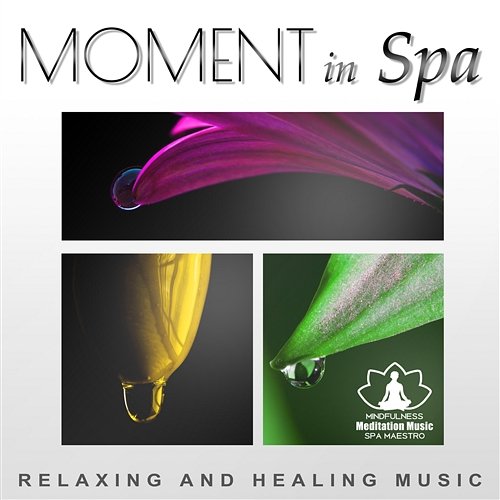 Moment in Spa: Relaxing and Healing Music – Deep Meditation, Harmony with Body and Soul, Tibetan Sounds, Relax in Spa Mindfulness Meditation Music Spa Maestro