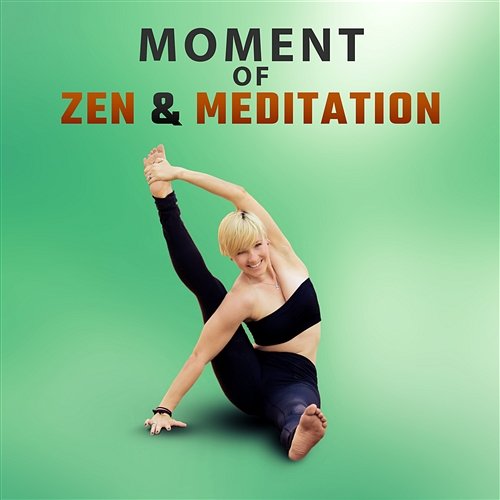 Moment of Zen & Meditation: Natural Music, Yin Yang, Sound Therapy, Welness, New Age, Relax, Deep Sleep Nature Meditation Academy