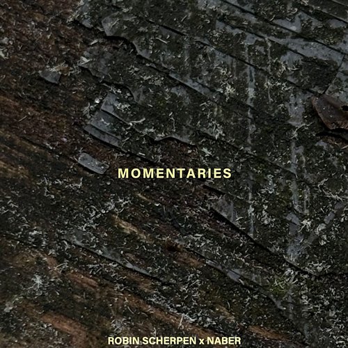 Momentaries Robin Scherpen feat. Naber