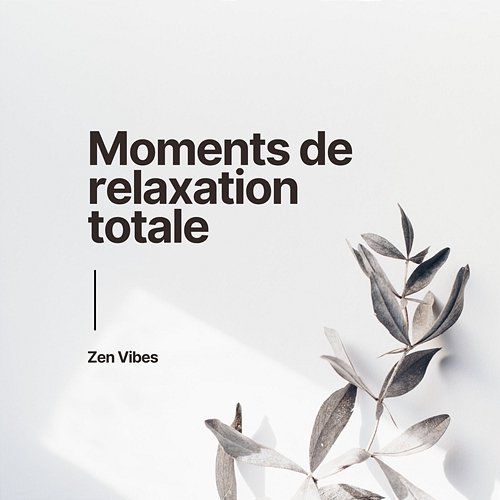 Moments De Relaxation Totale (Bruit Blanc Séquence En Boucle) Zen Vibes