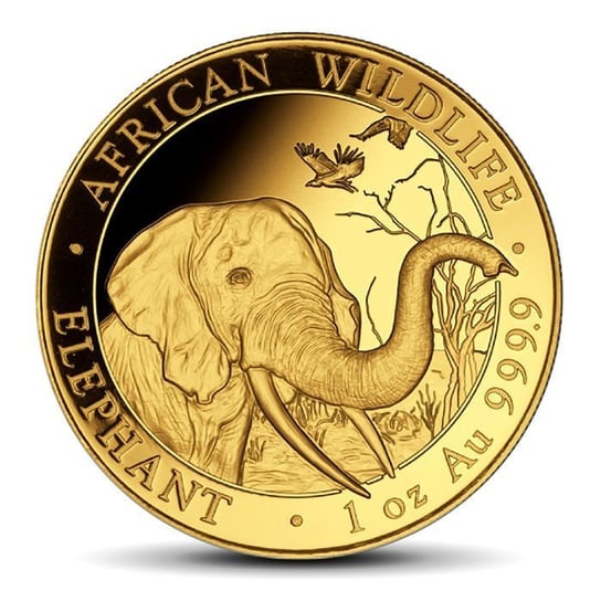 Moneta Somalijski Słoń 1 uncja złota - wysyłka 24 h! Mennica Skarbowa