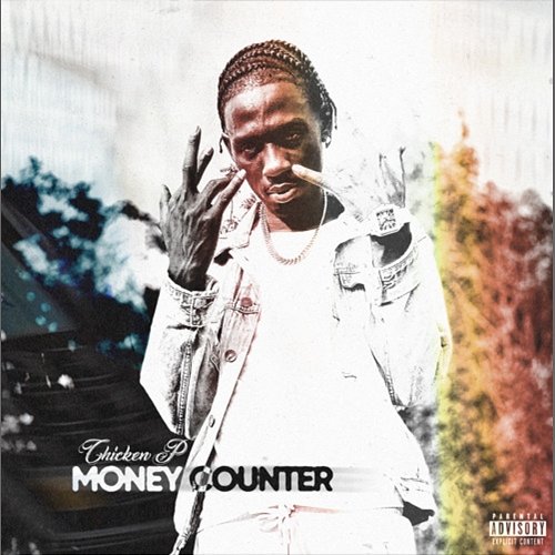 Money Counter Chicken P