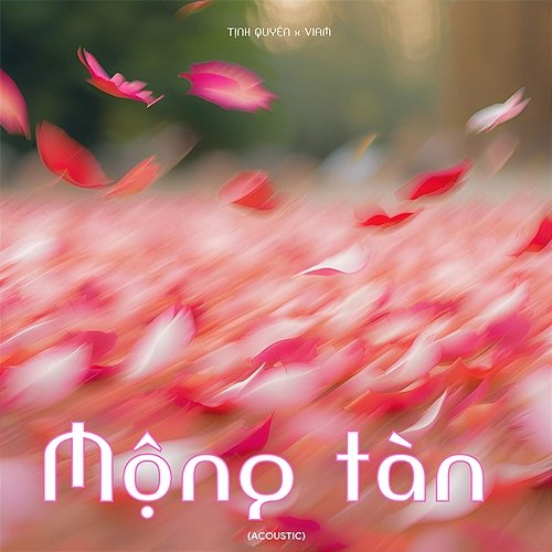 Mộng Tàn ViAM & Tịnh Quyên