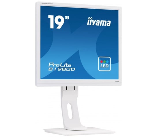 Monitor Iiyama Prolite B1980D-W1 19" Format 5:4 Biały Z Regulowaną Stopą iiyama