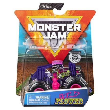 Monster Jam, samochód Monster Jam