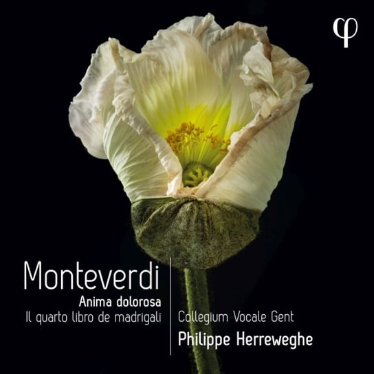 Monteverdi: Anima dolorosa. Il quarto libro de madrigali Collegium Vocale Gent