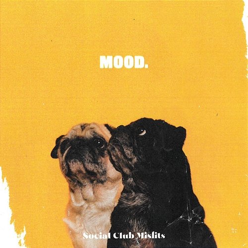 MOOD. Social Club Misfits