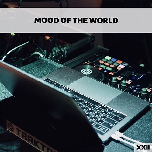 Mood Of The World XXII Various Artists