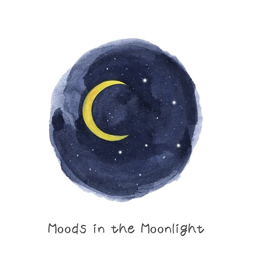 Moods in the Moonlight Sweet Decoration