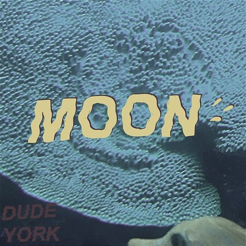 Moon Dude York