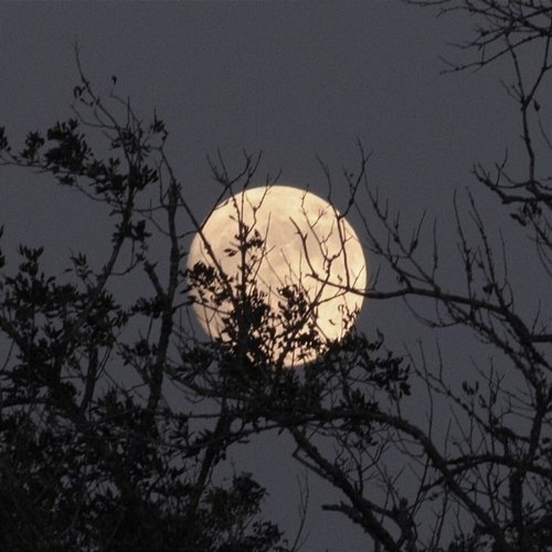 Moon Light Chitx & mnx