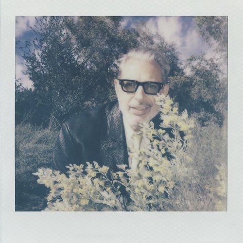 Moon River Jeff Goldblum & The Mildred Snitzer Orchestra