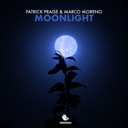 Moonlight Patrick Praise & Marco Moreno