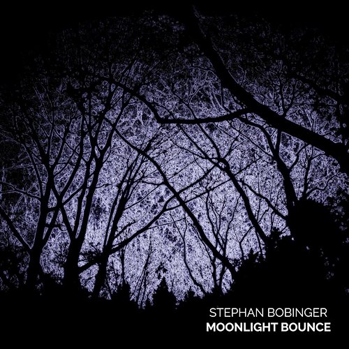 Moonlight Bounce Stephan Bobinger