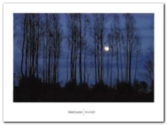 Moonlight plakat obraz 80x60cm Wizard+Genius