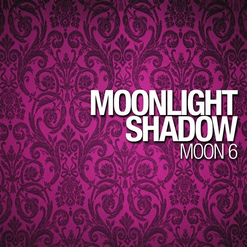 Moonlight Shadow Moon