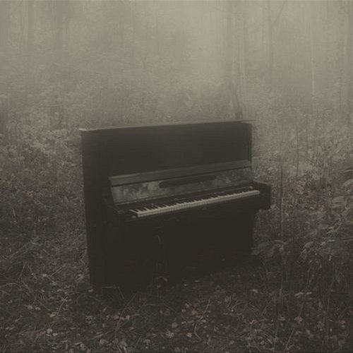 Moonlight Sonata Avarosa, Kaelor