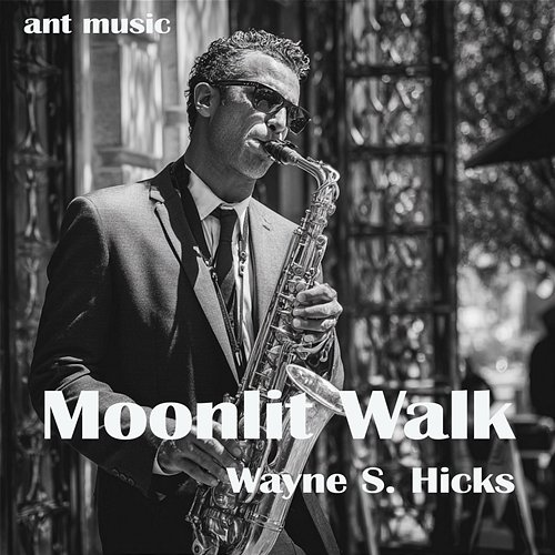 Moonlit Walk Wayne S. Hicks