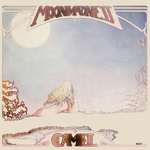 Moonmadness Camel