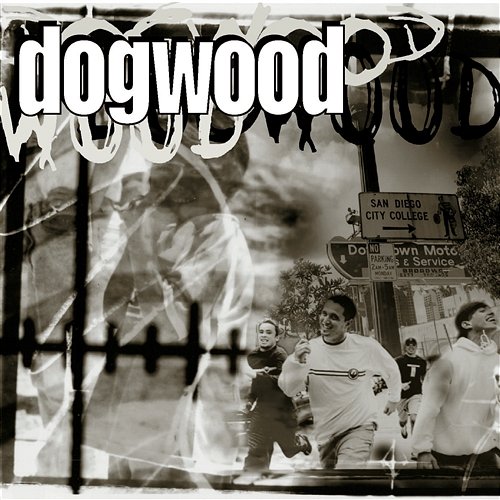 Control Dogwood