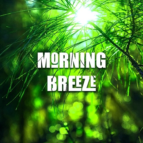 Morning Breeze NS Records