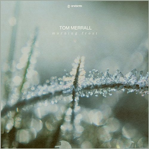 Morning Frost Tom Merrall