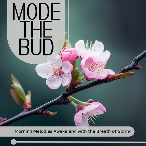 Morning Melodies Awakening with the Breath of Spring Mode The Bud