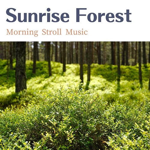 Morning Stroll Music Sunrise Forest