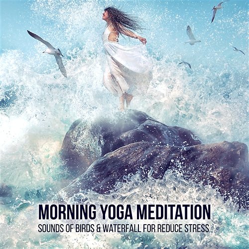 Morning Yoga Meditation: Sounds of Birds & Waterfall - Ambient Nature Music for Reduce Stress and Well Being Various Artists