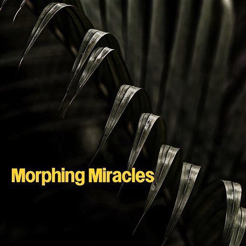 Morphing Miracles Tracy Bradford