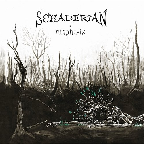 Morphosis Schaderian