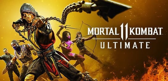 Mortal Kombat 11 Ultimate Edition, Klucz Steam, PC Warner Bros Interactive 2015