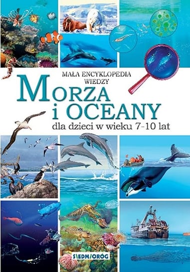 Morza i oceany. Mała encyklopedia wiedzy dla dzieci w wieku 7-10 lat Chilmon Eryk