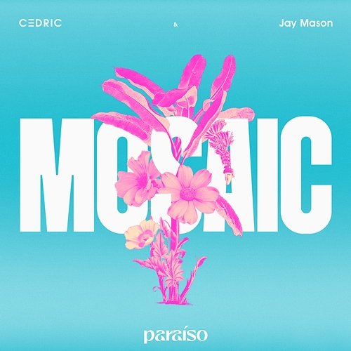 Mosaic C3DRIC & Jay Mason